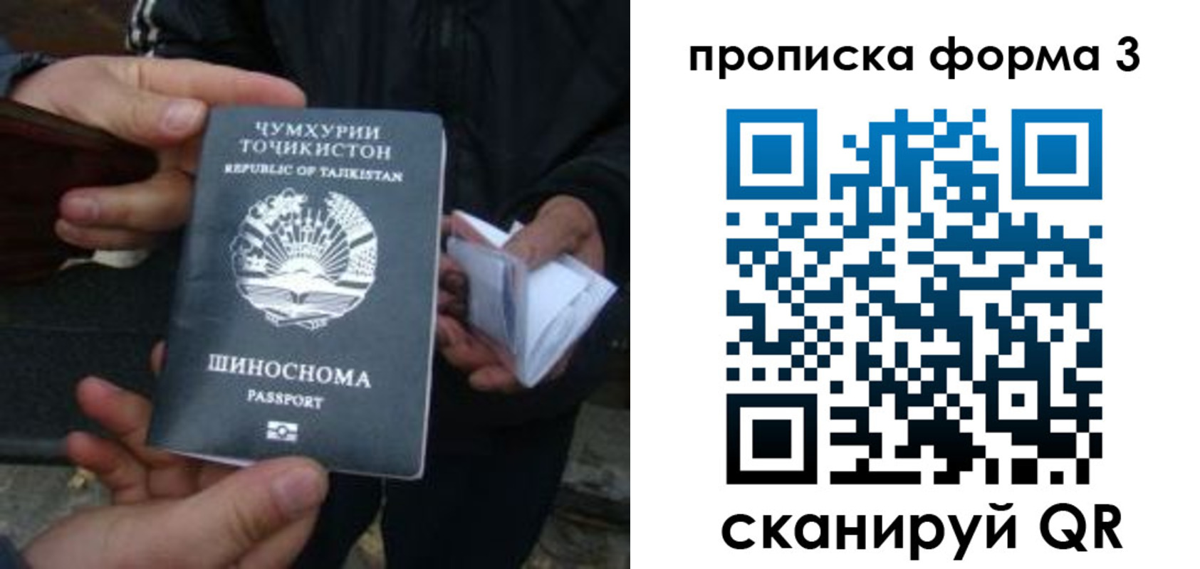 прописка 2025 в Пскове
